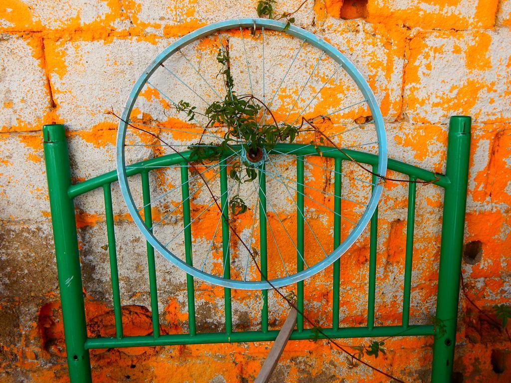 Street Garden Hostel Vina del Mar Kültér fotó