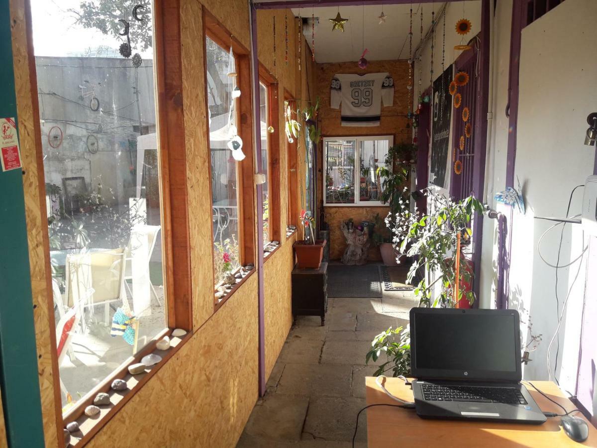 Street Garden Hostel Vina del Mar Kültér fotó